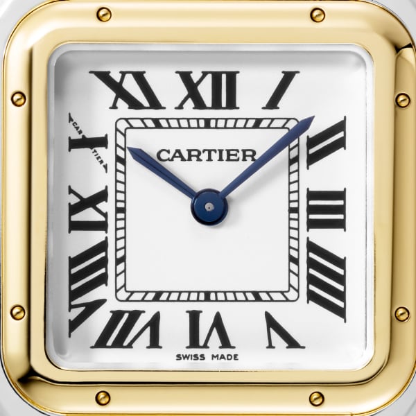 Cartier PANTHERE Gold Mix 37mm - Image 4