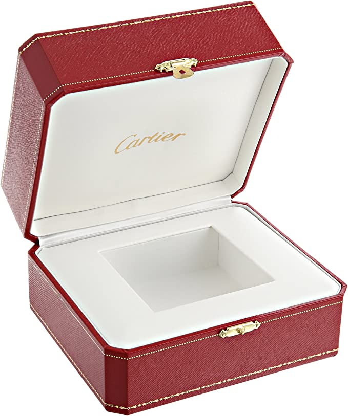 Cartier SANTOS 100 Silver Gray 38mm - Image 5