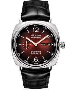 Panerai Radiomir Annual Calendar Platinumtech�?Experience 45mm  PAM01432
