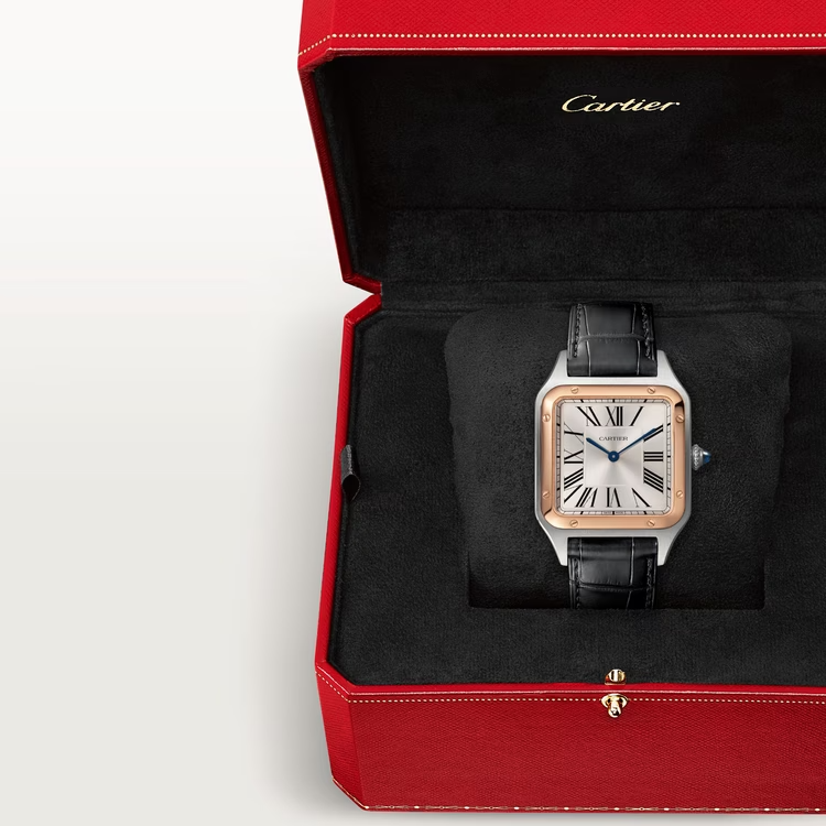 Cartier SANTOS-DUMONT Rose Gold Mix 46mm - Image 7