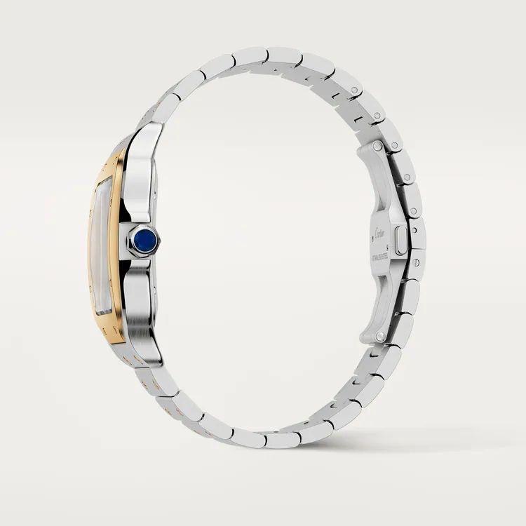 Cartier SANTOS Gold Mix 39mm - Image 9