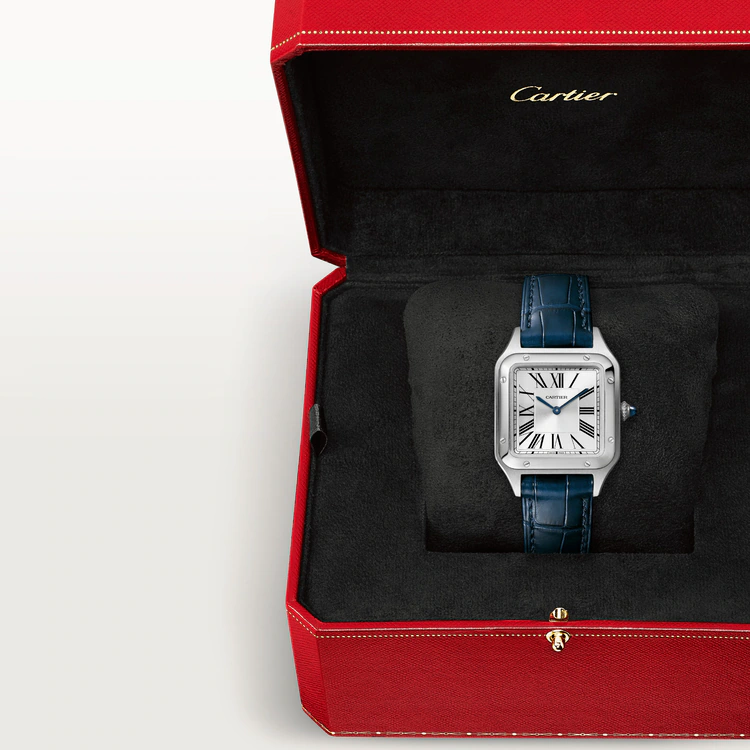 Cartier SANTOS-DUMONT Blue 36mm - Image 11