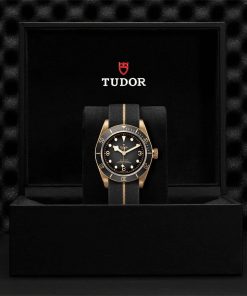 Alternative view of TUDOR Black Bay Bronze 43mm Slate Grey Dial Men's Automatic Fabric Strap Watch M79250BA-0002