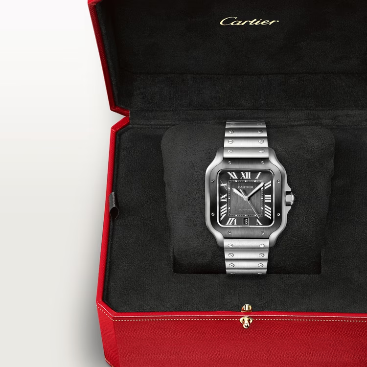 Cartier SANTOS GRAY 39.8mm - Image 6