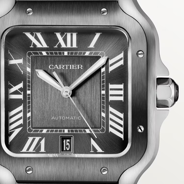 Cartier SANTOS GRAY 39.8mm - Image 5