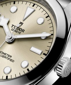 Alternative view of TUDOR Black Bay 36mm Light Champagne Dial Automatic Bracelet Watch M79640-0003