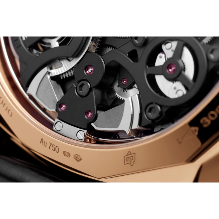 Panerai Radiomir Minute Repeater Tourbillon GMT 49mm PAM00600 - Image 5