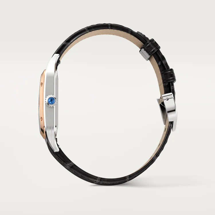 Cartier SANTOS-DUMONT Rose Gold MIx 43.5mm - Image 3